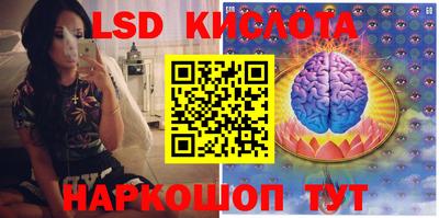 гидра Краснознаменск