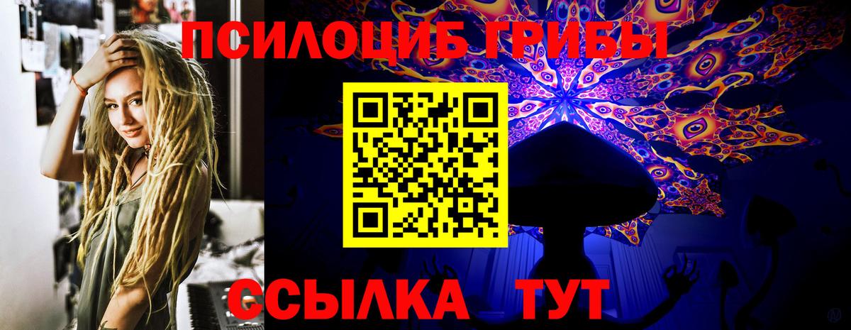 Псилоцибиновые грибы Cubensis Копейск