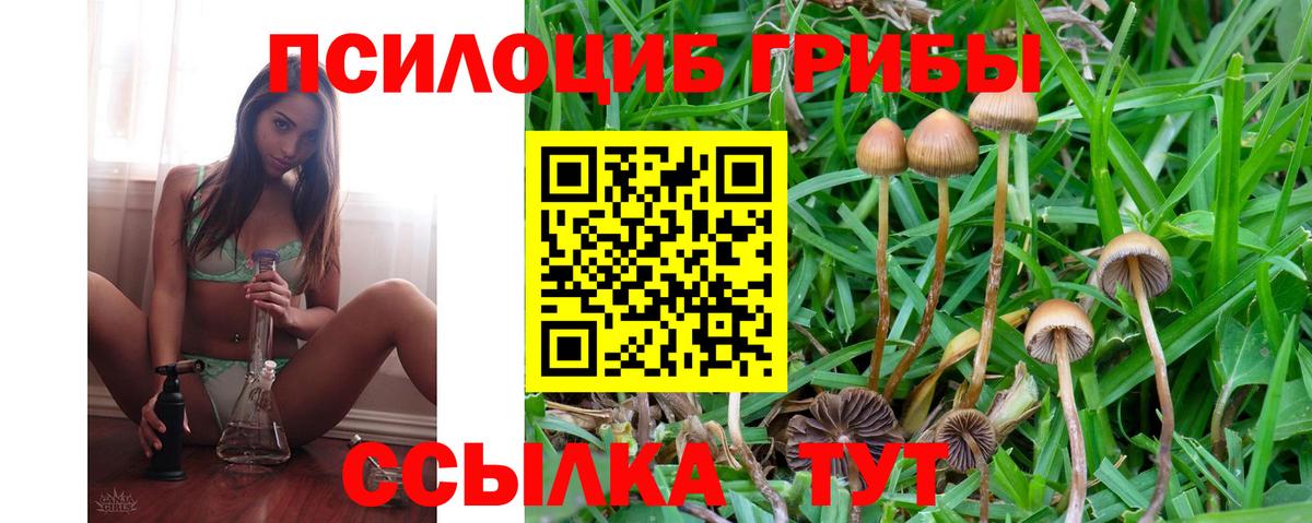 Псилоцибиновые грибы мухоморы  Галлюциногенные грибы мицелий  Копейск  Вход с VPN 
